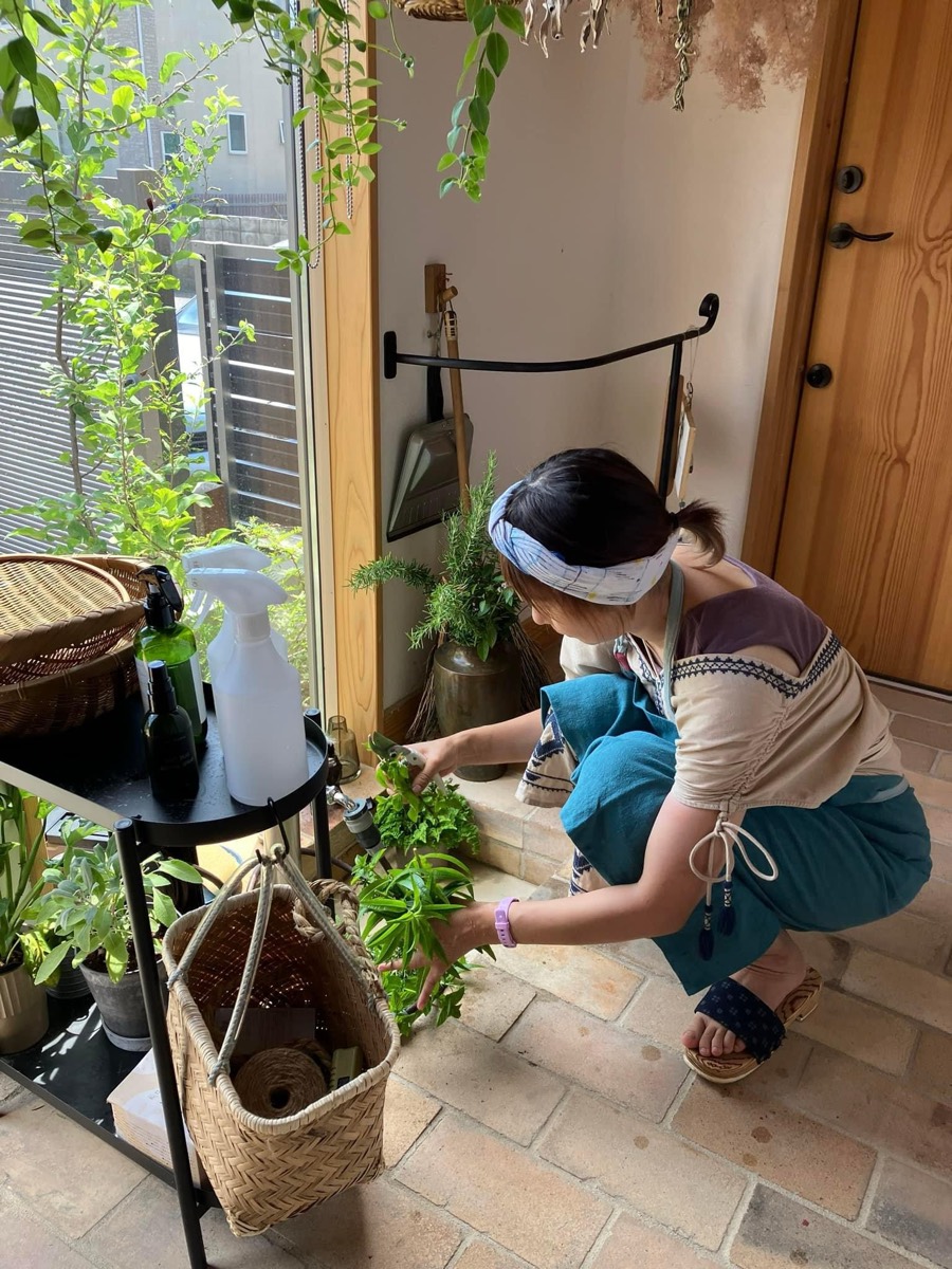 植物の 手入れ