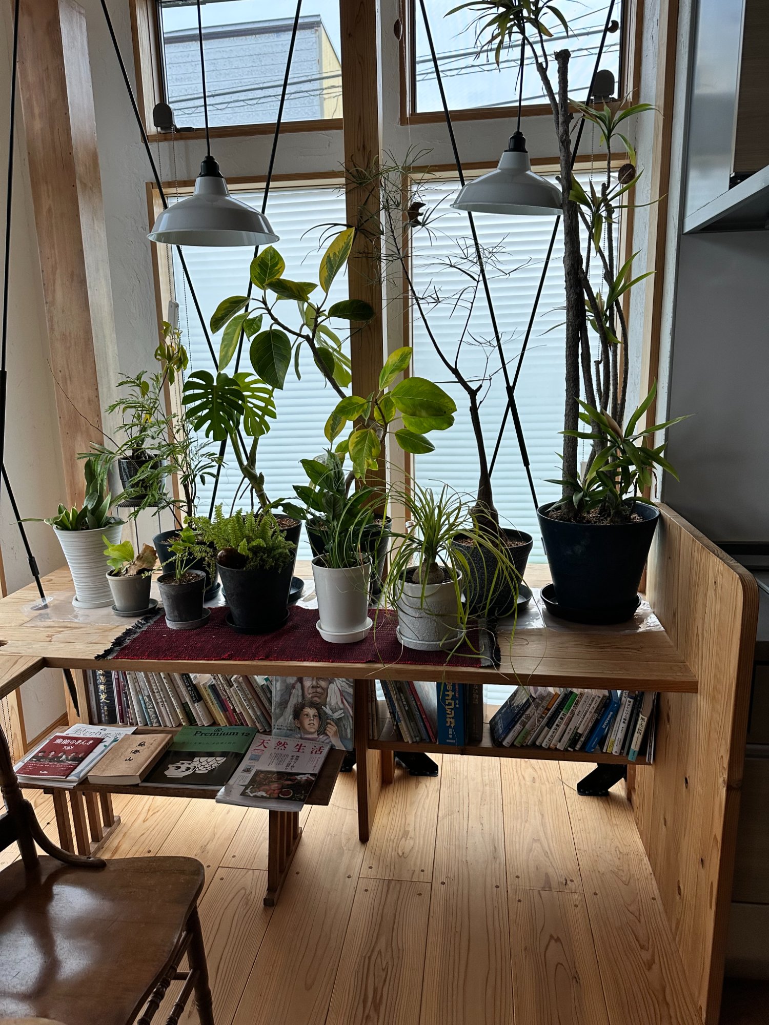 植物と本棚のある窓辺